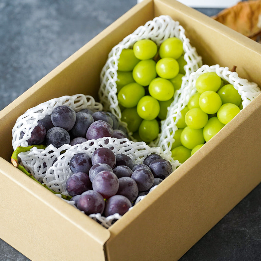 岡山県産ぶどうセット 福袋岡山県産ぶどう詰合せセット（全4品）8月中旬頃～9月上旬発送
