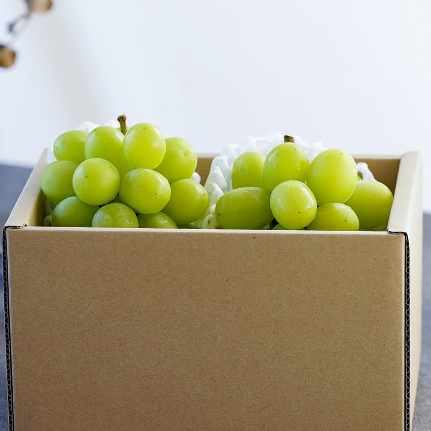 岡山県産シャインマスカット2房 2025 – フルーツタルト専門店Gowdy