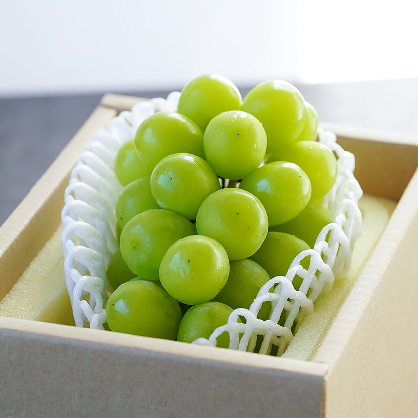 岡山県産シャインマスカット1房 2025 – フルーツタルト専門店Gowdy