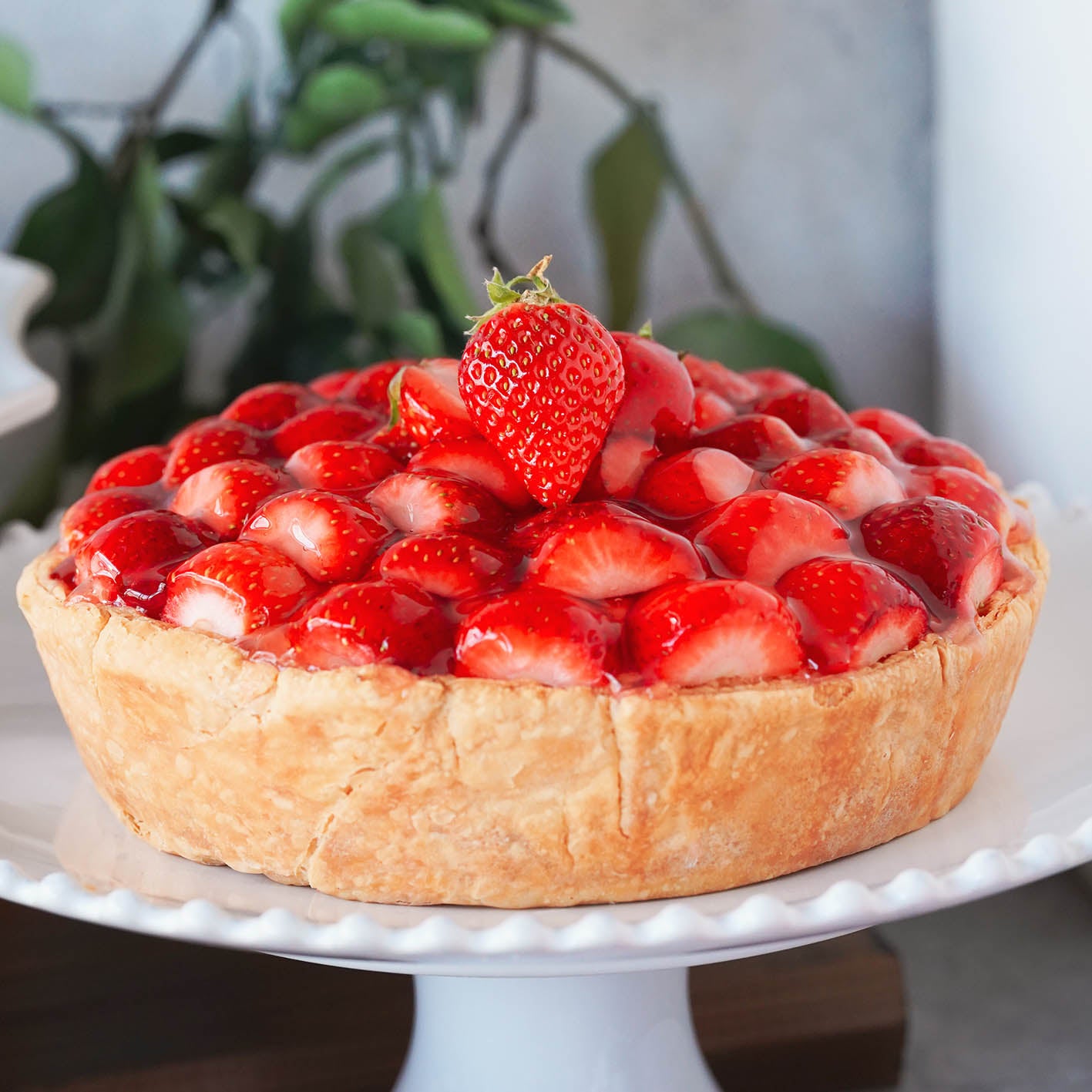 新作　新品　ジェリーキャット　苺タルト　いちご　タルト　スイーツ　お菓子 新作 新品 ジェリーキャット 苺タルト いちご タルト スイーツ
