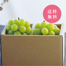 画像をギャラリービューアに読み込む, 【送料無料】岡山県産シャインマスカット２房
