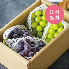 画像をギャラリービューアに読み込む, 【送料無料】岡山県産ぶどうオススメセット
